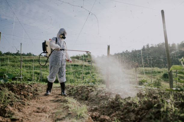 Best Local Pest Control Services  in Missoula, MT