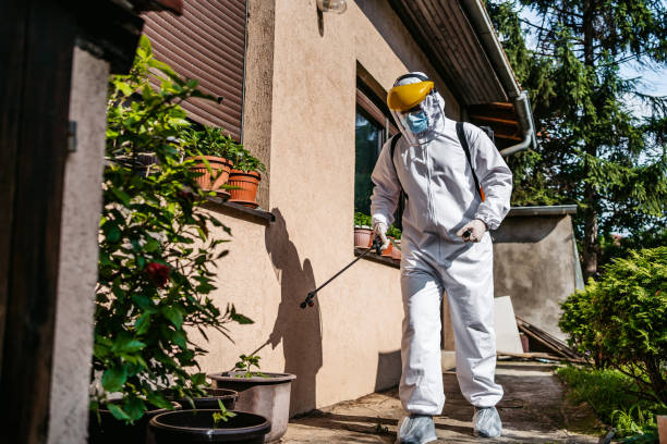 Best Pest Prevention Services  in Missoula, MT