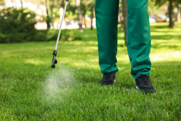 Best Mosquito Control Services  in Missoula, MT