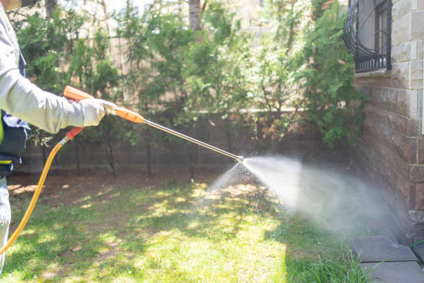 Best Emergency Pest Control  in Missoula, MT