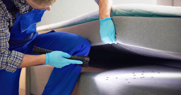 Best Pest Inspection Near Me  in Missoula, MT