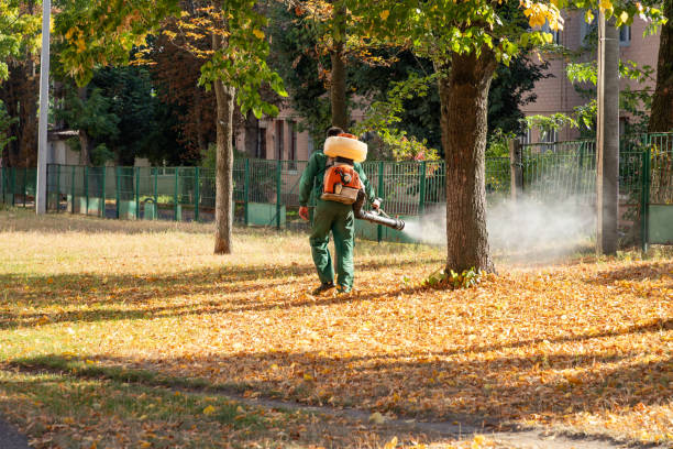 Best Rat Extermination Near Me  in Missoula, MT