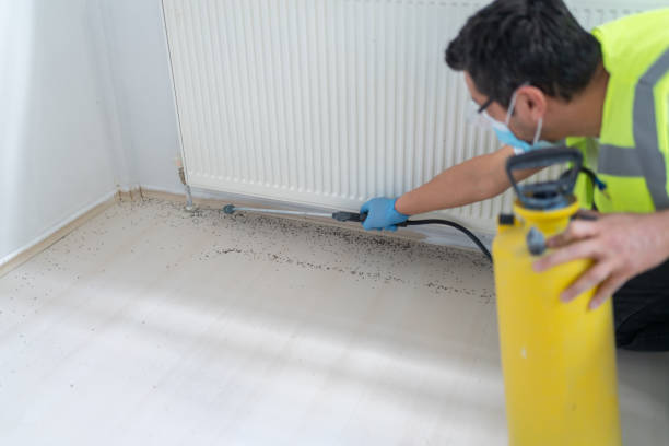 Best Pest Removal Services  in Missoula, MT