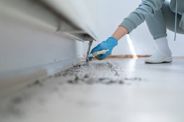 Best Bed Bug Extermination  in Missoula, MT